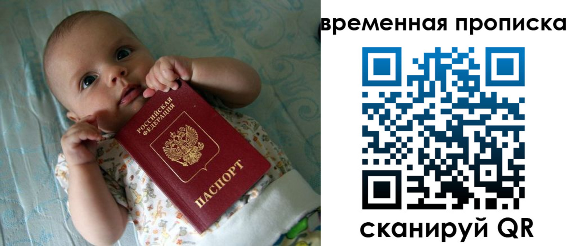 найти адрес прописки в Похвистнево